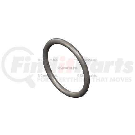 3330797 by CUMMINS - Fuel Pump O-Ring