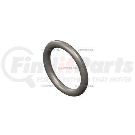 3910260 by CUMMINS - Seal Ring / Washer