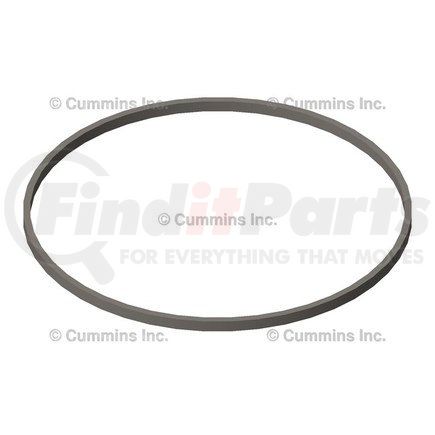 3070547 by CUMMINS - Liner Seal Ring