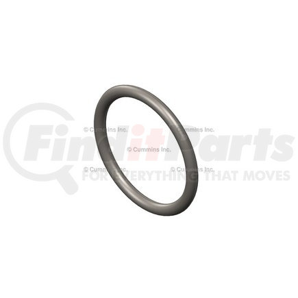 3867043 by CUMMINS - Seal Ring / Washer