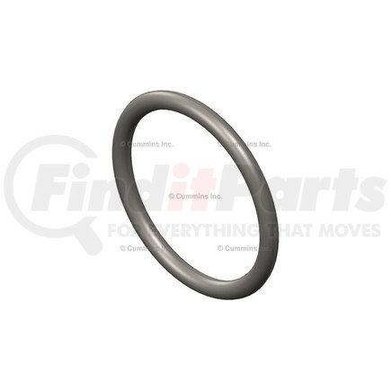 3089392 by CUMMINS - Seal Ring / Washer