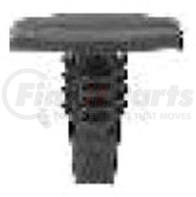 10744 by AUVECO - WEATHERSTRIP RETAINER - GM