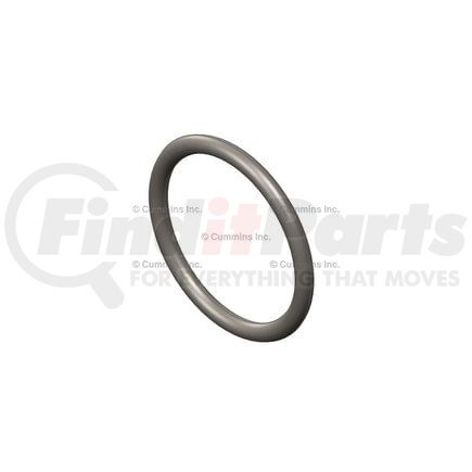 3684037 by CUMMINS - Seal Ring / Washer