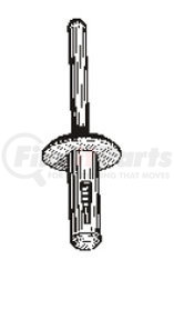 13750 by AUVECO - Nylons Blind Rivet ¼”