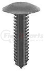 14032 by AUVECO - Pillar Cover Retainer GM Truck 1985-On