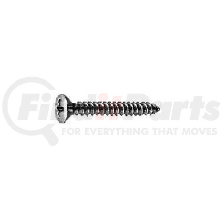 Auveco 1483 PHILLIPS OVAL HEAD TAP SCREW