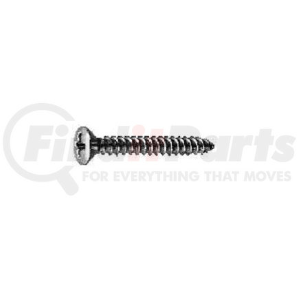 1483 by AUVECO - PHILLIPS OVAL HEAD TAP SCREW