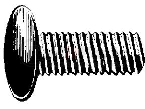 Auveco 9853 BUMPER BOLT 5/16-18 X 3/4 S.S.