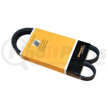 PK050400 by CONTITECH