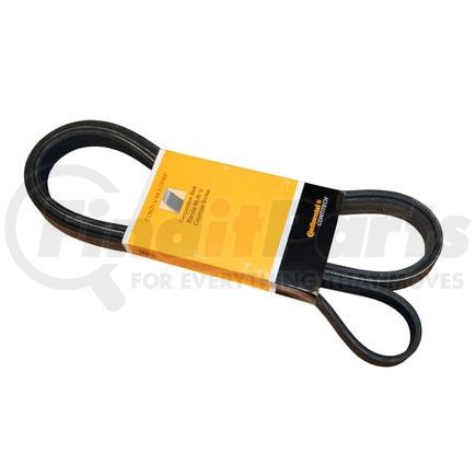 PK060888 by CONTITECH