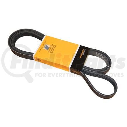 PK060900 by CONTITECH