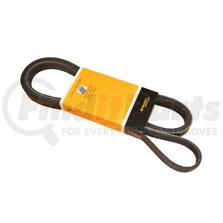 PK060860 by CONTITECH