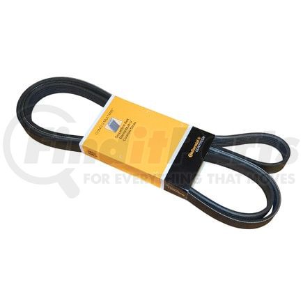 PK060956 by CONTITECH