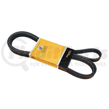 PK060960 by CONTITECH