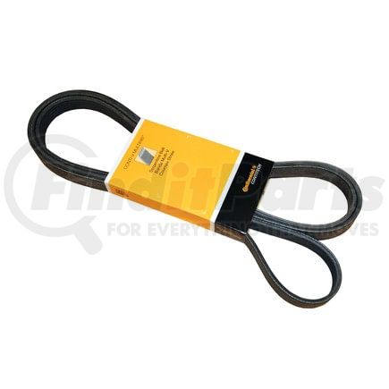 PK060975 by CONTITECH