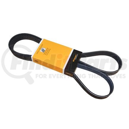 PK070701 by CONTITECH