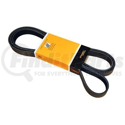 PK070923 by CONTITECH