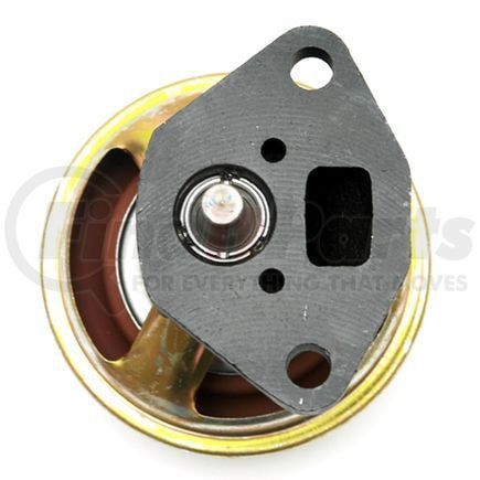 Delphi EG10162 Exhaust Gas Recirculation (EGR) Valve
