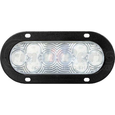 M423C-5AMP by PETERSON LIGHTING - 420C-5 Great White LED Oval Back-Up Light