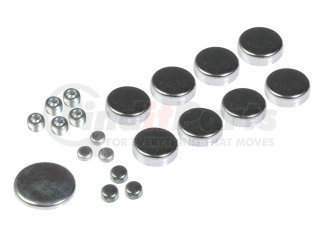 557-026 by DORMAN - STEEL EXP PLUG KIT