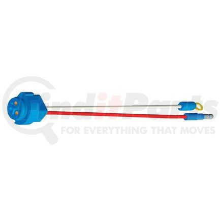 668423 by GROTE - Stop / Tail / Turn Two-Wire Plug-In Pigtails for Male Pin Lamps, 10" Long, Chassis Ground, Slim-Line .180 Male