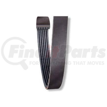 25-061031 by NAPA - SERPENTINE BELT