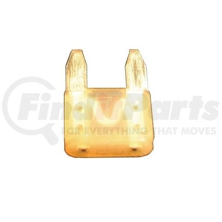 MIN25 by REDNECK TRAILER - 25 Amp "MINI" Blade Type Fuse