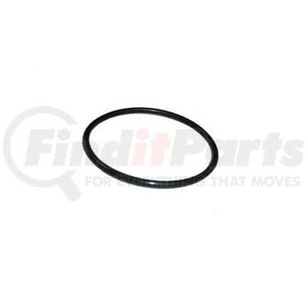 92127 by REDNECK TRAILER - Al-Ko Oil Cap O-ring