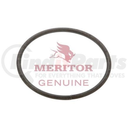 1229L4354 by AXLETECH - SNAP RING