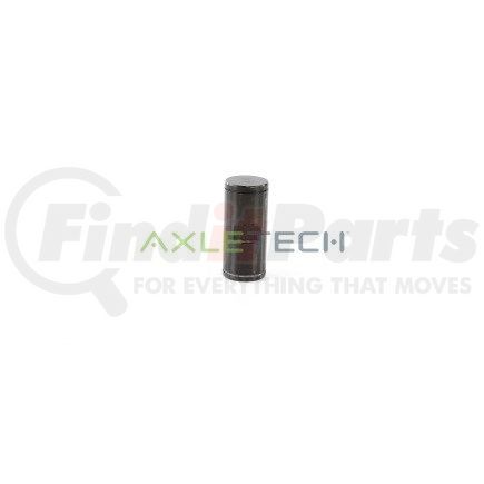 125901022E by AXLETECH - ANCHOR PIN