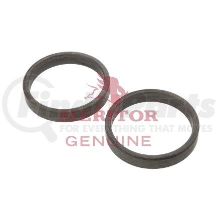 1199E1669 by MERITOR - OIL SEAL WIPER