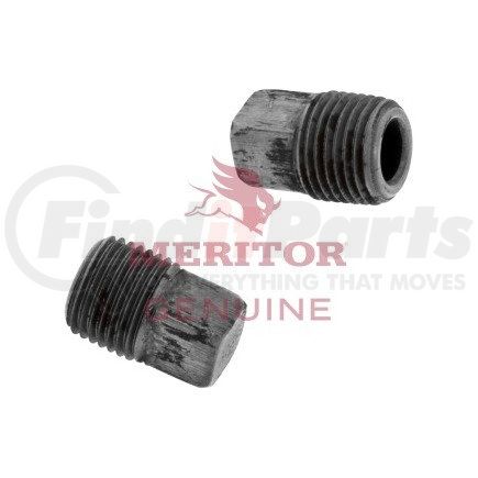 P     12 by MERITOR - Air Brake Pipe Head Plug - 1/8 inches