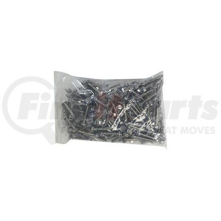 R001731 by CAREFREE - KIT TRAVEL'R MTG SCREWS 2