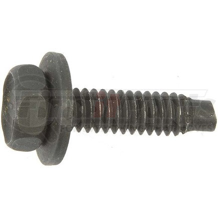 700-300 by DORMAN - Body Bolt - 1/4-20 x 1 In.