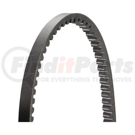 Dayco 13V1220 Accessory Drive Belt SPUN COG, DAYCO IMPORT