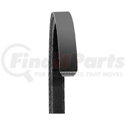 Dayco 17295DR Accessory Drive Belt V-BELT, SPUN COG, DRIVE RITE TRADITIONAL