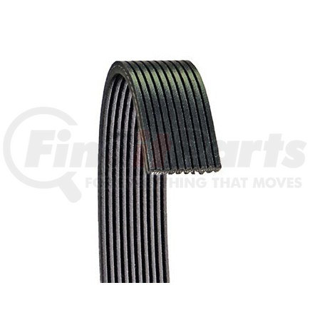 6100672 by DAYCO - POLY RIB BELT, DAYCO