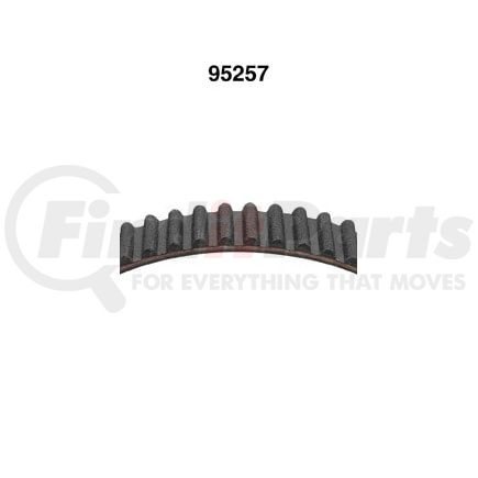 Dayco 95257FN Engine Timing Belt TIMING BELT, DAYCO IMPORT