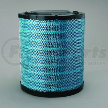 EAF5069 by DONALDSON - Air Filter, Primary, Eon