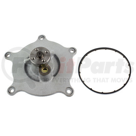 WA907-05-2491 by WORLD AMERICAN - Engine Water Pump - New Gen, Fits Navistar/IHC DT466E 2005+, 530E New Gen