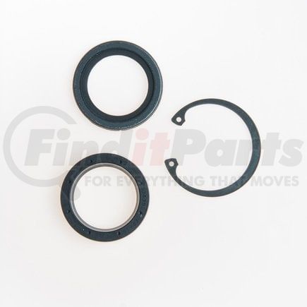 Omega Environmental Technologies 2007 Steering Gear Pitman Shaft Seal Kit Steering Gear Pitman Shaft Seal Kit - Lower
