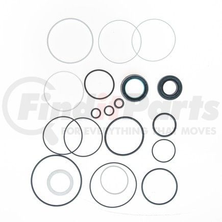 Omega Environmental Technologies 2194 Rack and Pinion Seal Kit Rack and Pinion Seal Kit