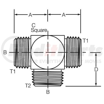 Dayco 144480 Hydraulic Coupling / Adapter 08OM-08OM-08OMT