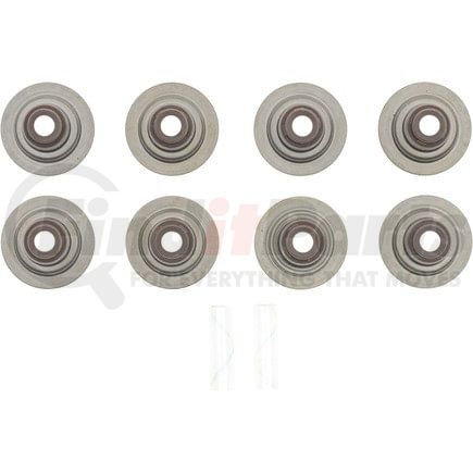 Victor Reinz Gaskets 121005401 Engine Valve Stem Oil Seal Set Engine Valve Stem Oil Seal Set