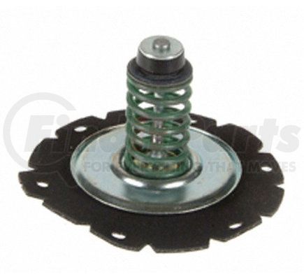 888562 by CARTER FUEL PUMPS - Performance Fuel Pump Spring / Diaphragm, Gasoline, Green Spring