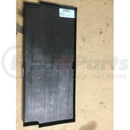 3842543C3 by NAVISTAR - PANEL , SHELF DOU