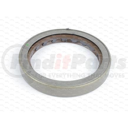 240669 by DANA - DANA SPICER Oil Seal