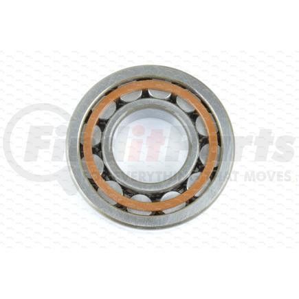 005.06.3677 by DANA - DANA ORIGINAL OEM, ROLLER BEARING