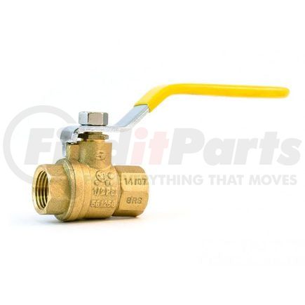 SV500P-8 by TRAMEC SLOAN - Female Ball Valve, 1/2