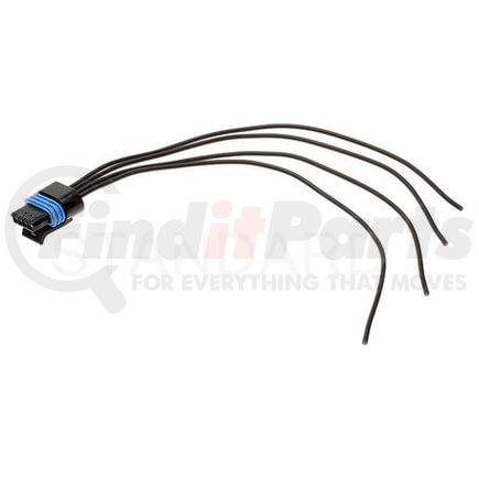 S551 by STANDARD IGNITION - STANDARD PIGTAIL